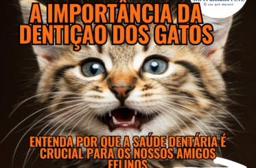 d436d7_2971ed8c5f5341a48654052dfe065f67~mv2