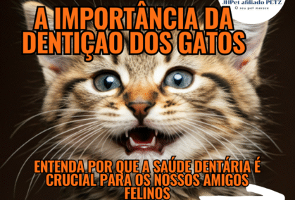 d436d7_2971ed8c5f5341a48654052dfe065f67~mv2 d436d7_2971ed8c5f5341a48654052dfe065f67~mv2