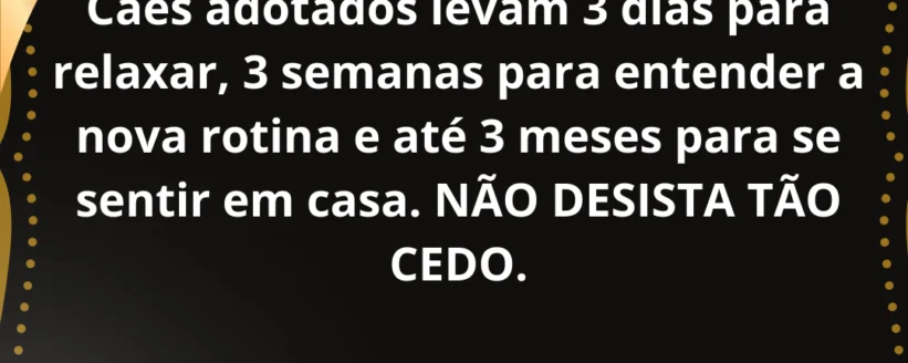 d436d7_a2c0e33a61bc4d19a462a888995fdd55~mv2