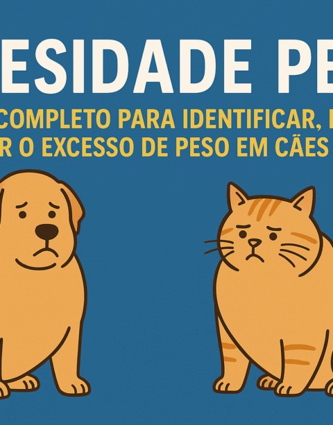 obesidade pet